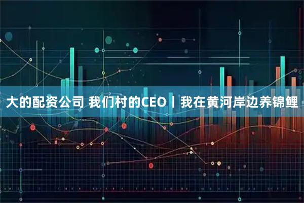大的配资公司 我们村的CEO丨我在黄河岸边养锦鲤