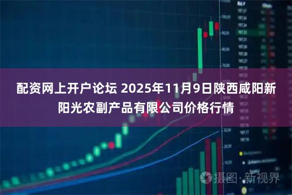 配资网上开户论坛 2025年11月9日陕西咸阳新阳光农副产品有限公司价格行情