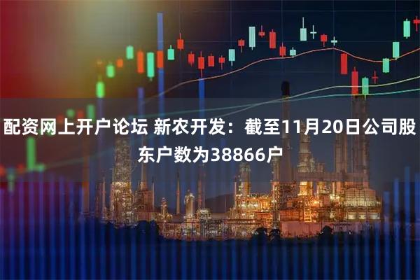 配资网上开户论坛 新农开发：截至11月20日公司股东户数为38866户